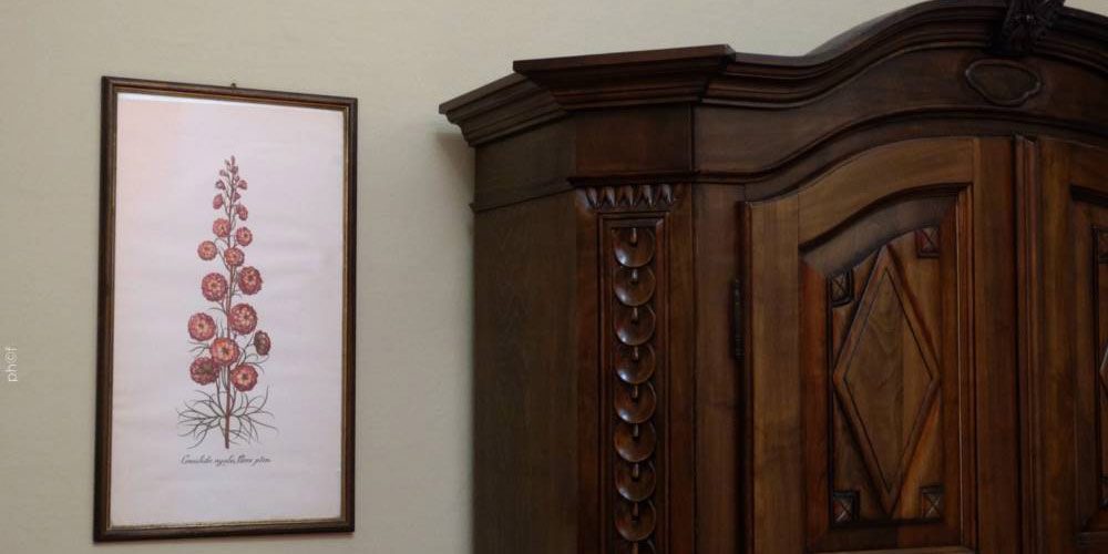 Stampe botaniche e mobili d'epoca in sala.