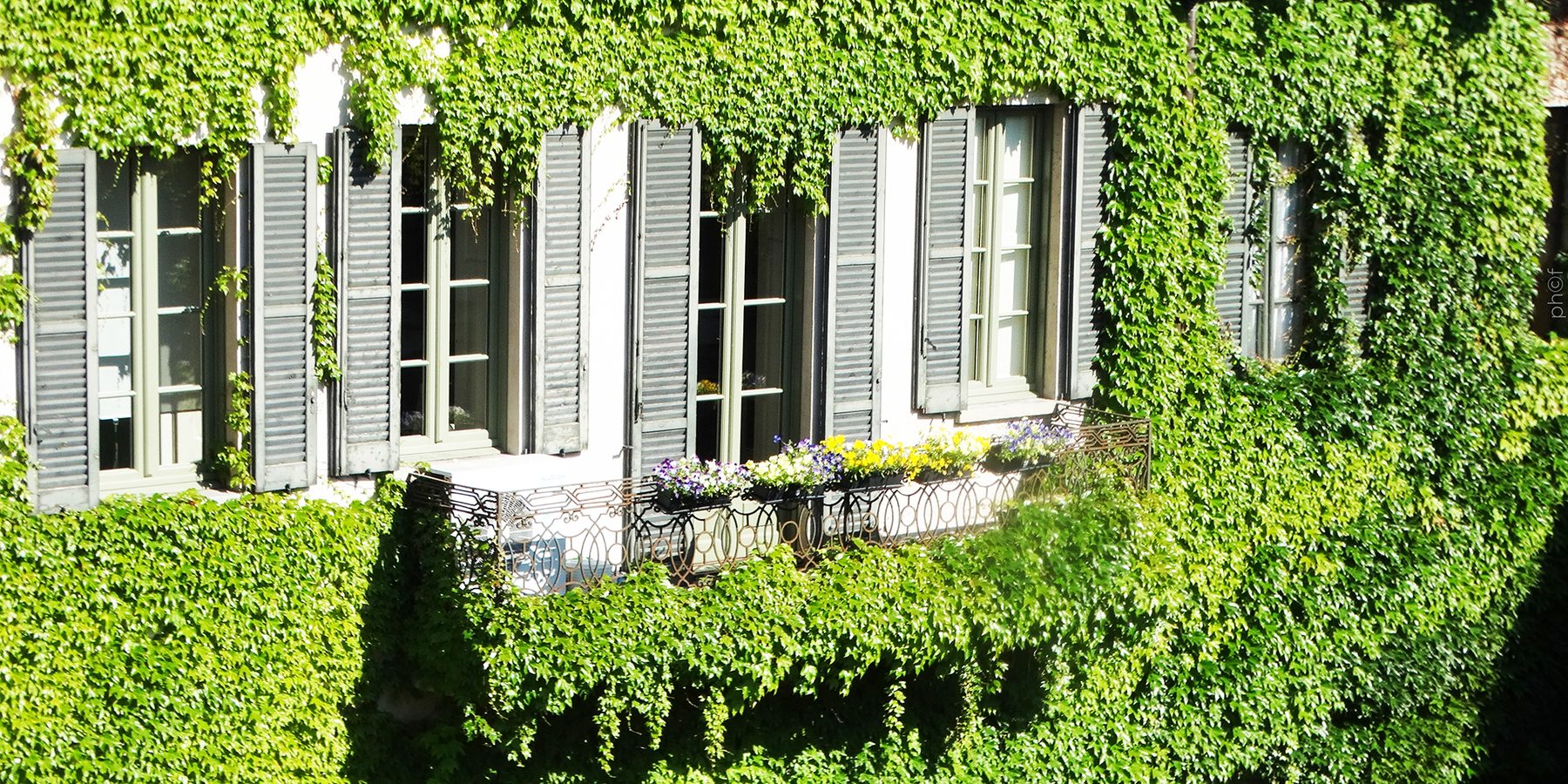 La facciata storica avvolta dall'edera, in Via Broggi.